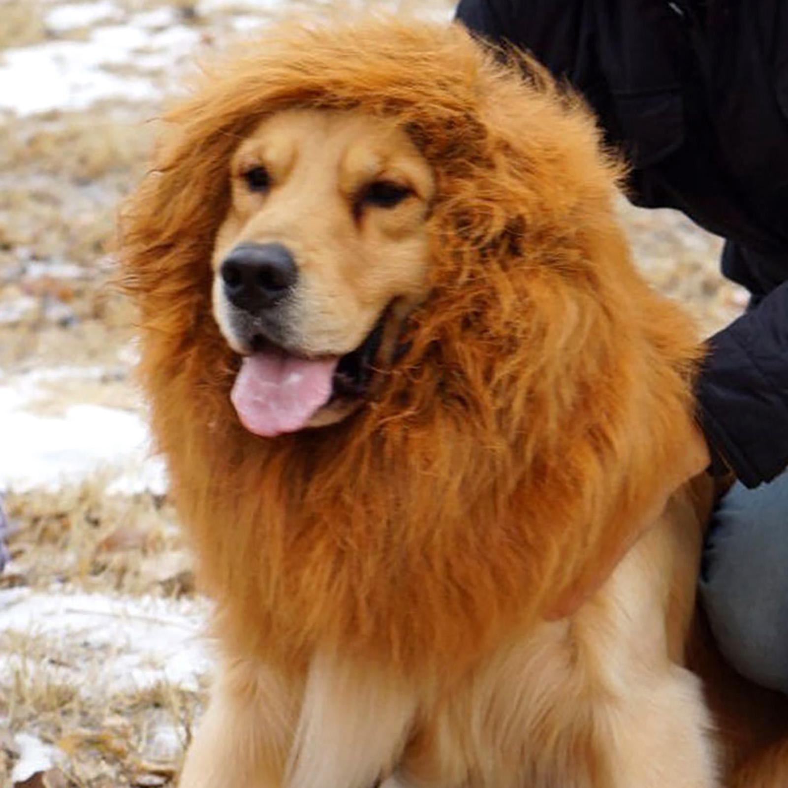 

Cute Pet Dog Cosplay Clothes Lion Mane For Dog Costumes Realistic Lion Wig For Medium to Large Dogs With Ear Pet Accessories S