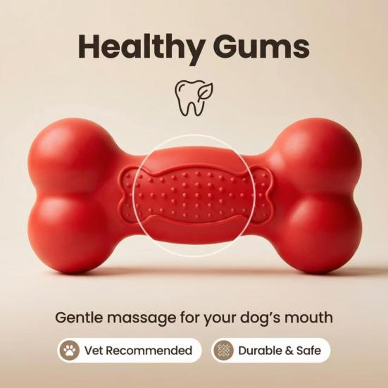 Squeaky Bone Dog Toy Bite-Resistant Interactive Chew Toy Textured Teeth Cleaning Toy for Large Medium Small Dogs Puppy Teething
