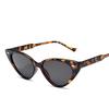 Vintage Cat eye Sunglasses Women Sexy Retro Small Cat Eye Sun Glasses Brand Designer Colorful Eyewear For Female