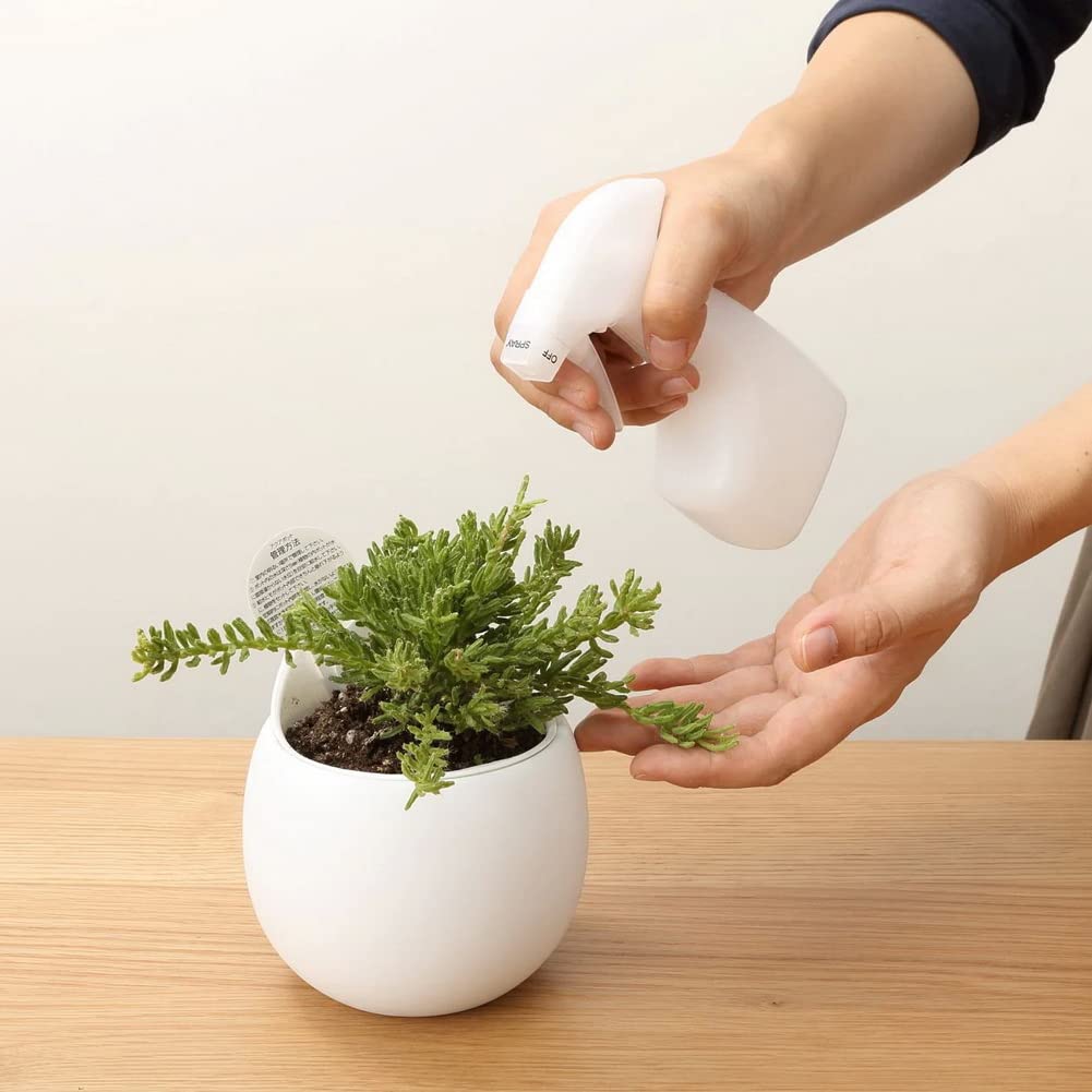 MUJI Clear Mini Poly with Bottle, 180ml, Spray, 38398172/MJ-PS3