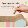 Meow Immortal Bone Cat Scratcher Set