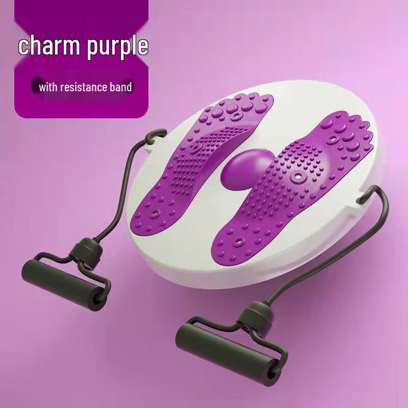 WEZHO Waist Twister Home Fitness Set