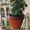 Tool-free Plant Hanger Railing Balcony Planter Holder Tool-Free Vertical Pot Fence for Outdoor Plants Fits Fences Decks Gardens Patios Use