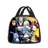 Fairy Tail Cartoon Handbag Insulated Lunch Bag School Bags and Girls Best Gift Stationery Suitable for Juice and Food