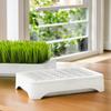 Plastic Cat Grass Planter Self-planted Tray Growth System Hydroponic Tray 3 Layer Anti-Pull Out Wheat Seedling Pot Pet Cat Use