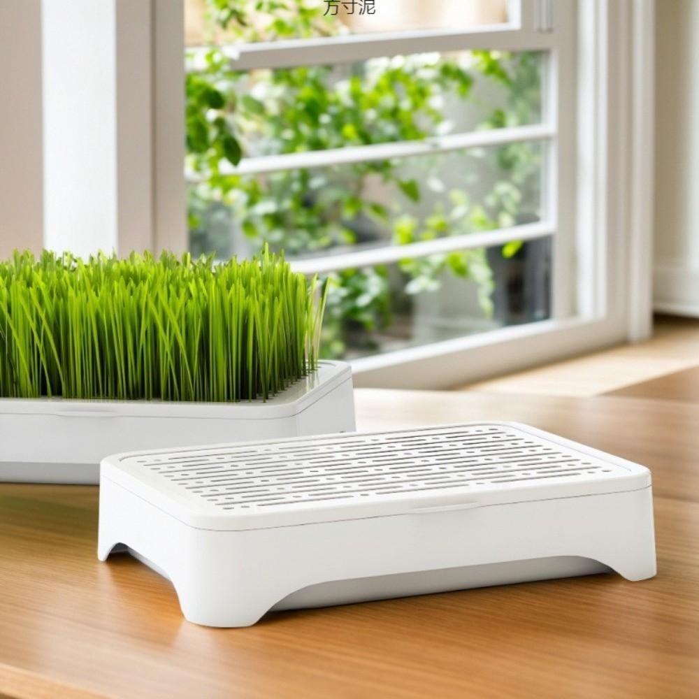 Plastic Cat Grass Planter Self-planted Tray Growth System Hydroponic Tray 3 Layer Anti-Pull Out Wheat Seedling Pot Pet Cat Use