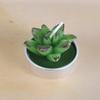 New simulation succulent plant candles, rose candles, 44 product combinations, and special-shaped paraffin candles