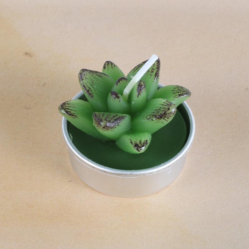New simulation succulent plant candles, rose candles, 44 product combinations, and special-shaped paraffin candles