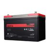 SANTAK C12-100AH Maintenance-Free Lead-Acid Battery