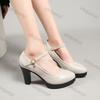 Fashion Ankle Strap Platform Pumps for Women 2025 Spring New Design Comfortable Leather Shoes Woman Super High Heels Dress Single Shoe