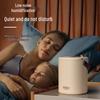 Portable Dual Spray Humidifier with Ambient Night Light