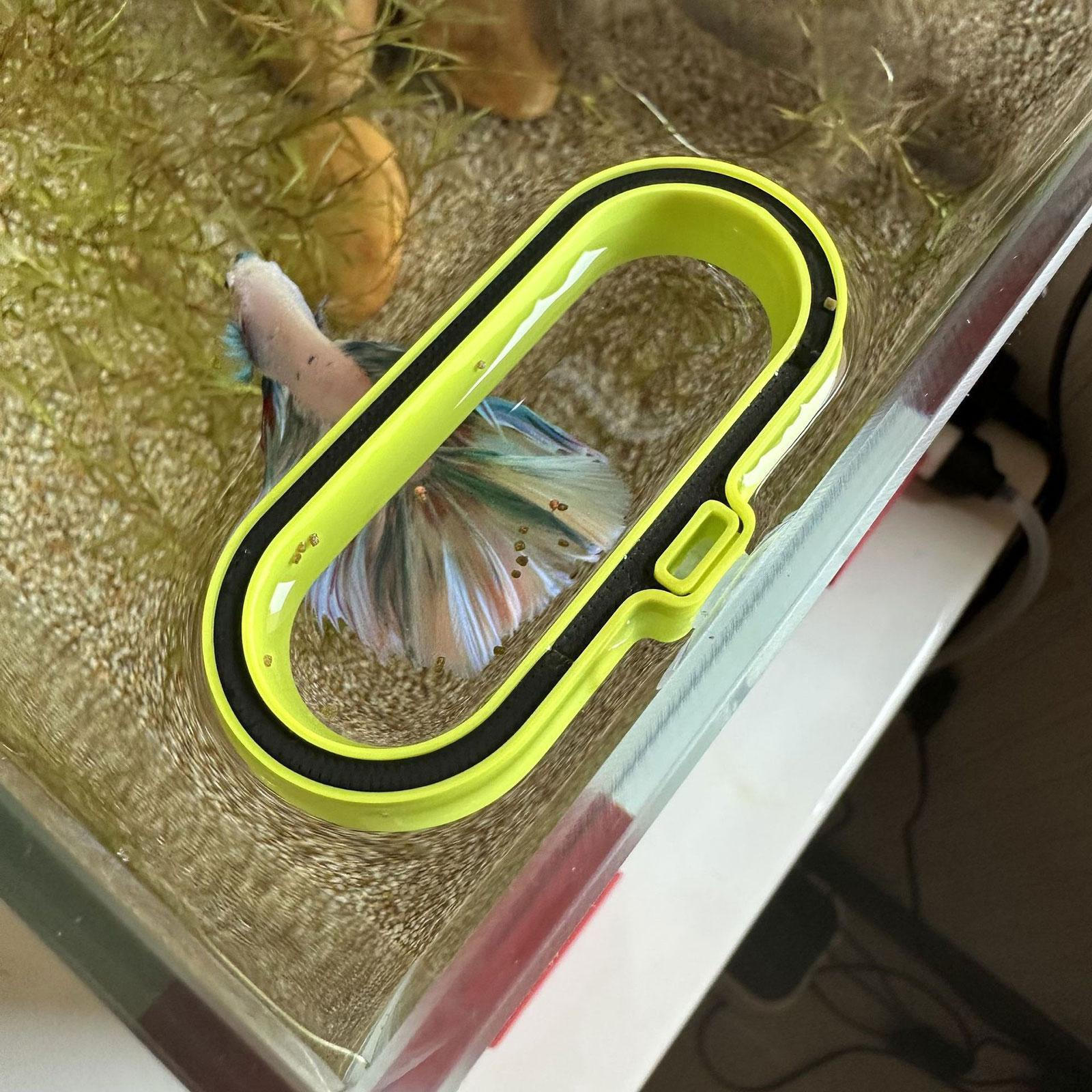 Fish Feeding Food Feeder Aquarium Accessory for Turtle Length 7 cm