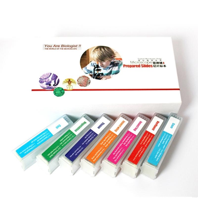 35PCS Microscope Glass Slides Set Seven Biological Specimens for Science Class
