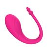 Wireless Bluetooth Control Wearable Vibrator G-Spot Vibrating Clitoris Massage Anal Stimulation Sex Toys for Women Couples