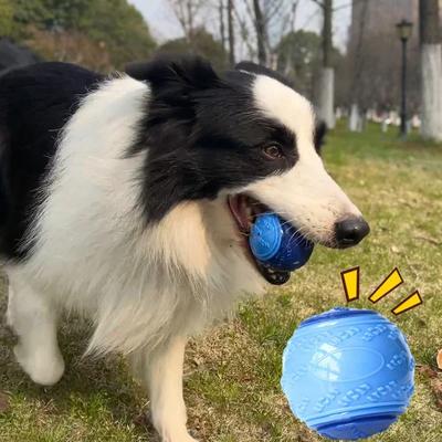 6.5cm Dog Squeaky Ball Toy Dogs Interactive Bite-resistant Chewing Ball Toy Puppy Training Sound Toy Teeth Cleaning Pet Supplies