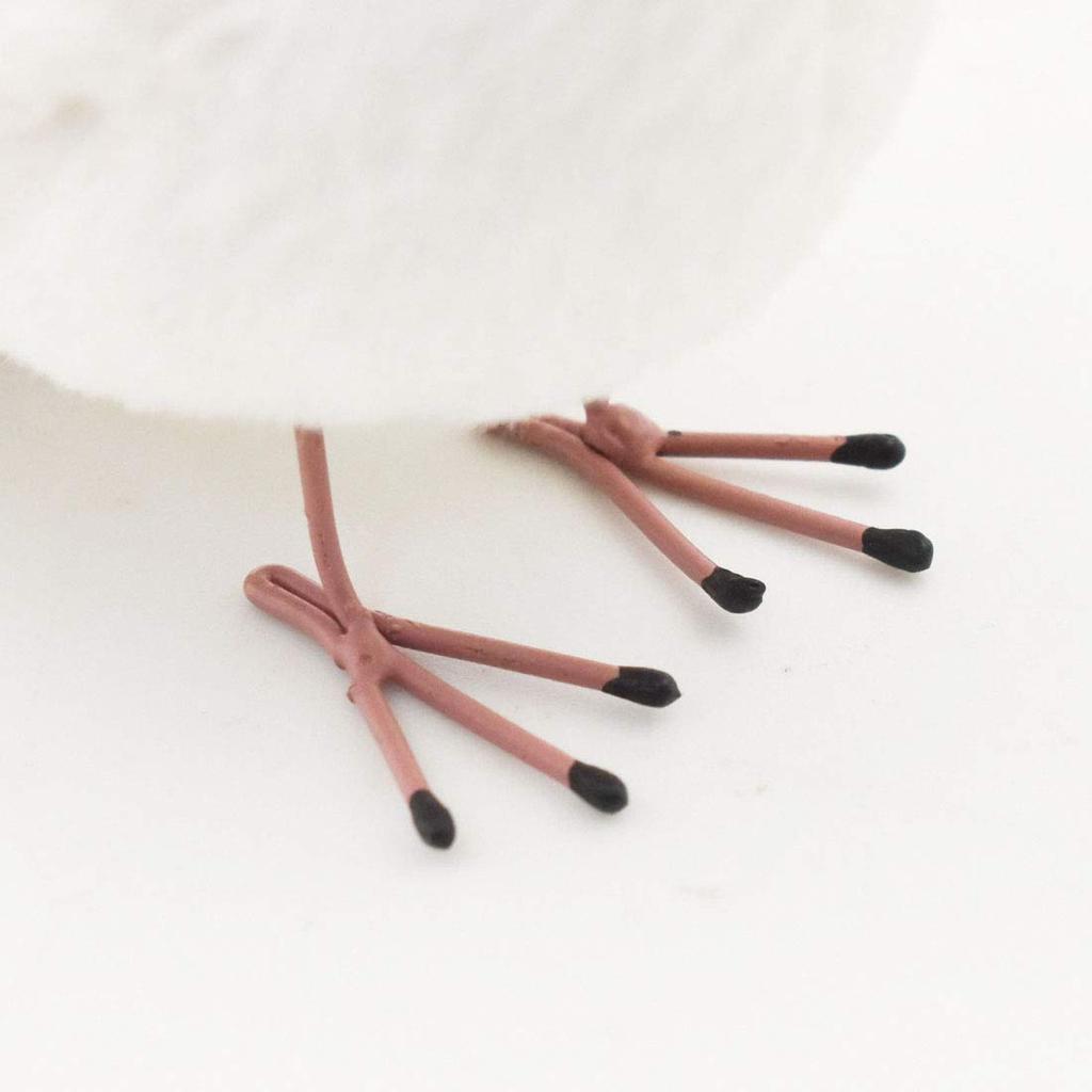 BH7244 HANSA White-winged Bunting 13