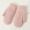 Windproof Plush Mittens Thickned Full Finger Gloves New Warm Gloves  Winter