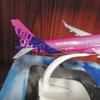 20cm Wizz Air Für Airbus A321 1/200 Druckgusslegierung Flugzeug Vormontiertes Flugzeugmodell Flugzeug Bausatz Schlafzimmerdeko Gesammelt