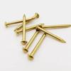 100 pcs Round Head Round Head Pins Rust-proof Brass Nail Track Mini Brass Nails  Models Crafts