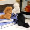 Cute Chubby Little Horse Plush Doll Soft Stuffed Baby Palm Pet Desktop Decor New Year Mascot 2026 Pretty New Baby Toy
