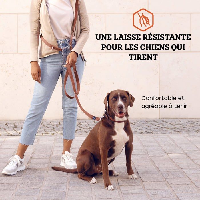Laisse Pour Chien - VITAZOO - Modèle Accouple - Nylon Durable - Longueur Réglable - Poignée Ergonomique