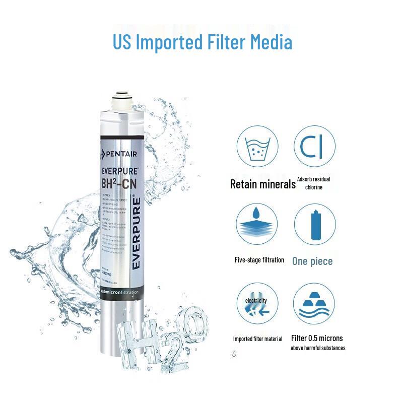 Everpure BH2 Wasserfilter Ersatzfilter CN-Stecker (Adapter enthalten)