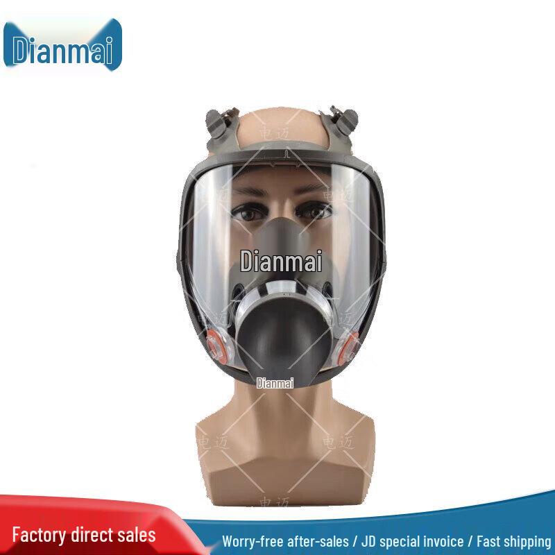 Dianmai 6800 Full Face Respirator Mask