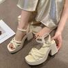 Coarse Heel Roman Sandals Women's 2025 New Summer Fashion Casual Women's Shoes Waterproof Table Wedge Heel High Heels Foreign Style