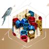 50 Pcs Dove Bands Bird Foot Ring Species Identify Training Rings Pet Bird Label Sign for Pigeon Chicks Small Poultry Supplies