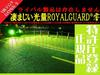 Royal Guard Zero LED Fog Lime Yellow with and H16 Super Bright Lamps, (Compatible H8, H11, Bulbs), 15,330 Lumens,