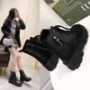 Martin Boots Women's Shoes 2025 New Korean Version Trend Autumn and Winter High-top Shoes Women's Boots Low-heeled Medium Boots