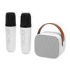 Karaoke Machine Multifunction Stereo Sound Portable   Speaker with 2 Wireless Microphones for Home Party KTV