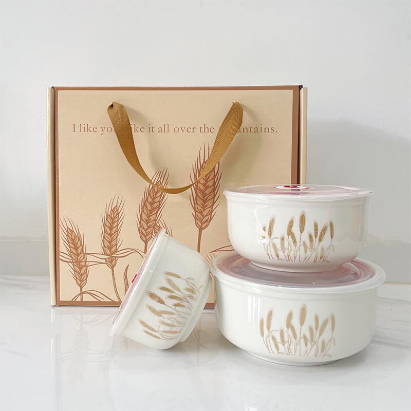 Anvelo Ceramic Fresh-keeping Bowl 3-Piece Set