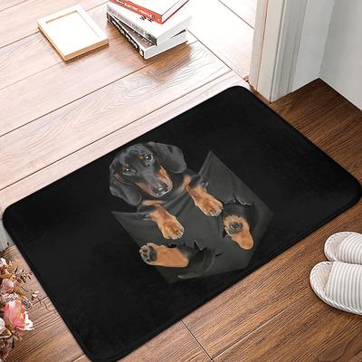 Funny Dachshund Front Door Mat Anti-Slip Indoor Absorbent Sausage Badger Wiener Dog Doormat Floor Bathroom Entrance Rug Carpet