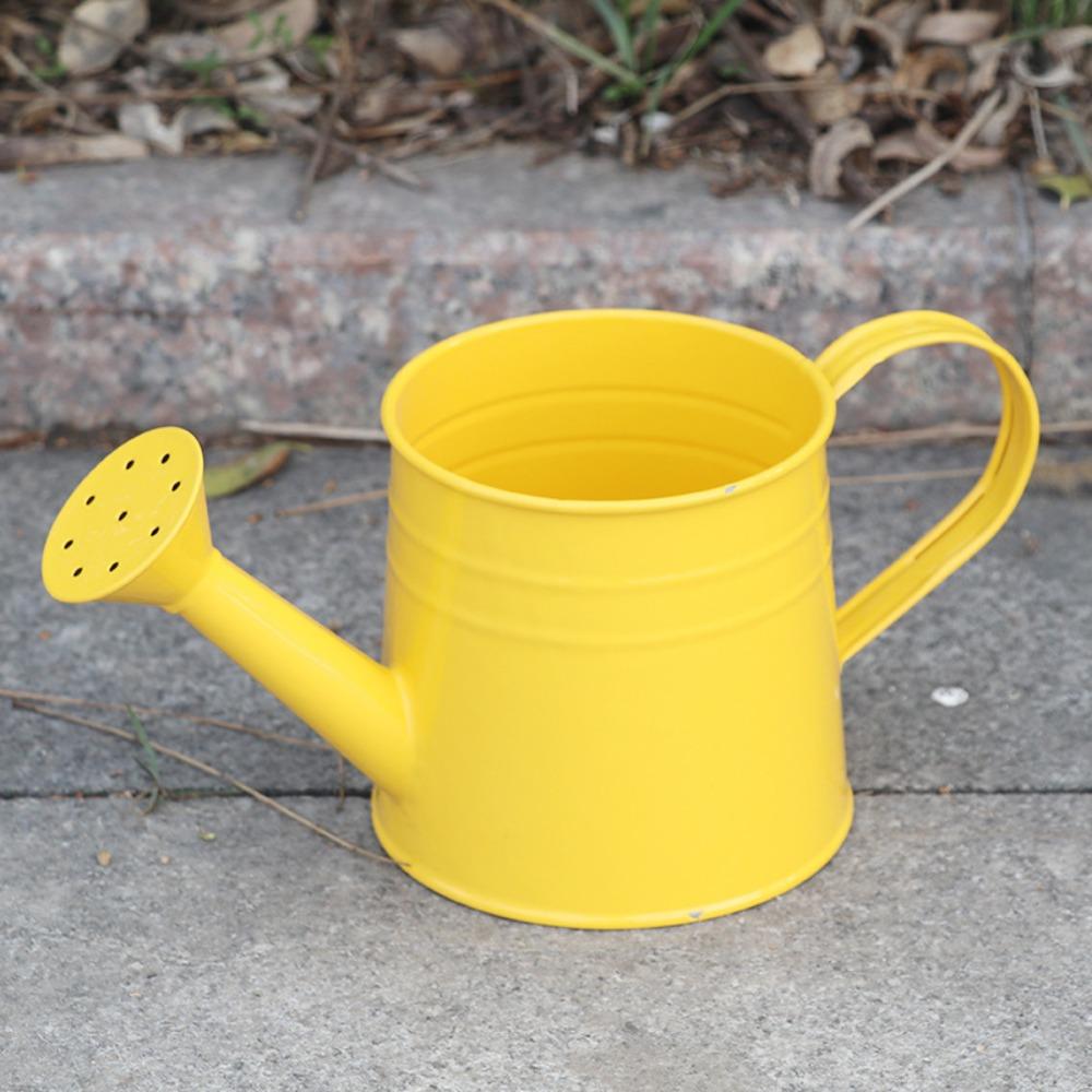 Home Watering Pot Large Capacity Water Spraying Pot Mini Watering Can  for Children