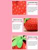 Strawberry Plush Toy Eco-friendly No Odor Easy To Clean Cute Cartoon Fruit Soft Stuffed Doll Pillow Cushion