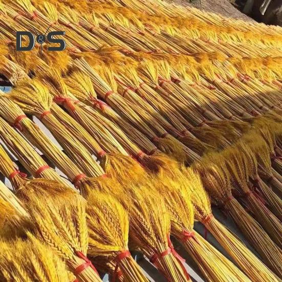 100Pcs Artificial Wheat Ear with Stem Realistic Non-withering No Watering Wedding Photo Props Indoor Outdoor Home Office Garden Decoration Faux