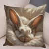 Realistic Cute Fluffy Bunny Print Throw Pillow Cover Soft Gentle Skin Touch Warm Tone Sofa Bedroom Home Decor Present
