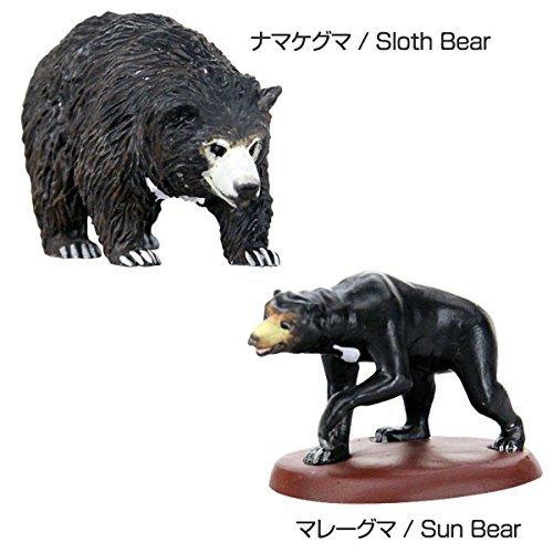 Colorata World Bear Figurine 3D Encyclopedia (Bears / 8 types / with explanatory booklet) Realistic Figurine Box Toy Educational Toy Gift Food Sanitat