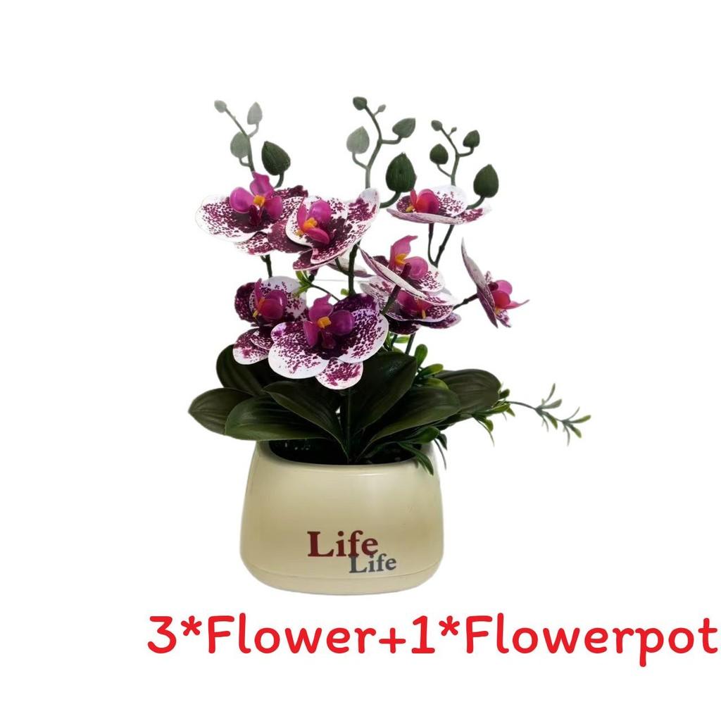 

Life Flowerpot Phalaenopsis Simulated Flower For Photo Shoots Living Room Decor Spotted Purple