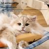 HOUYA Simulated Fish Cat Toy