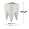 JANKOW Ceramic Pen Cute Desk Organizer with a Fun and Unique Appearance for Offices and Classrooms Tooth-Shaped Holder, (White)