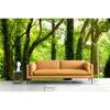 Green Park Forest Wall Mural Tall Trees Nature Landscape Wallpaper Home Decor