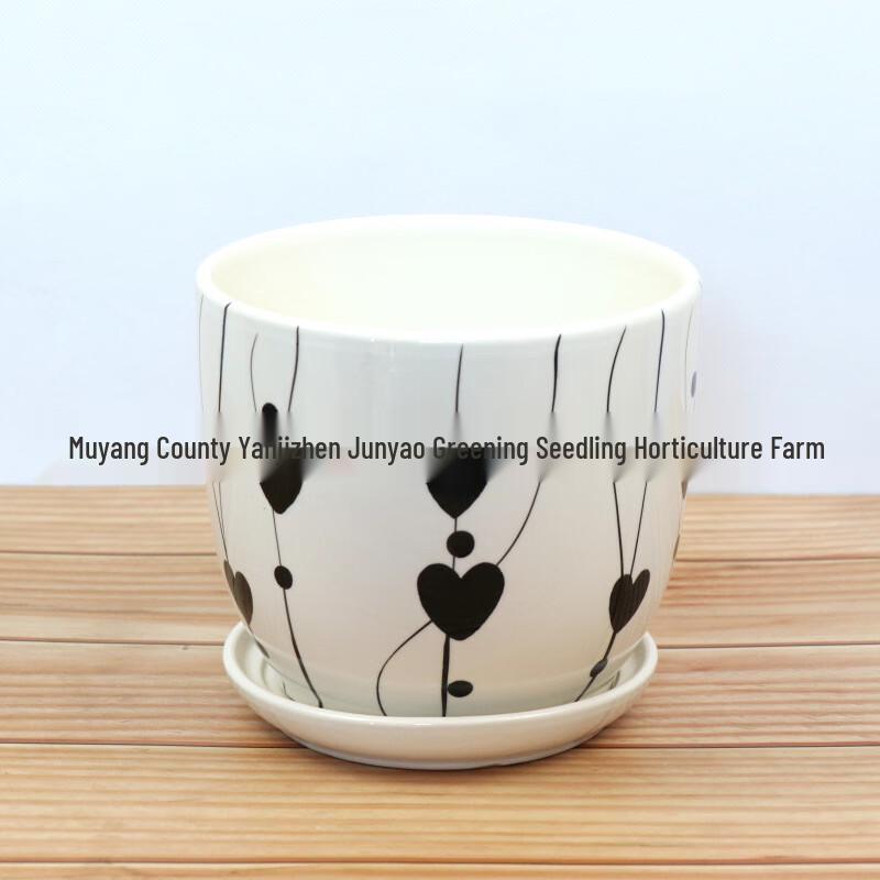 Zhuchuang Jingpin Chinese Style Ceramic Planter