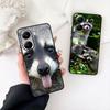 Raccoons Phone Case for Samsung Galaxy A06 A05 A14 A50 A51 A52 A12 A13 A23 A70 A07 A25 A26 A72 A56 Protective Cover