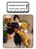 2026 Year of the Horse Zodiac Mascot Plush Toy - Black Horse New Year Gift