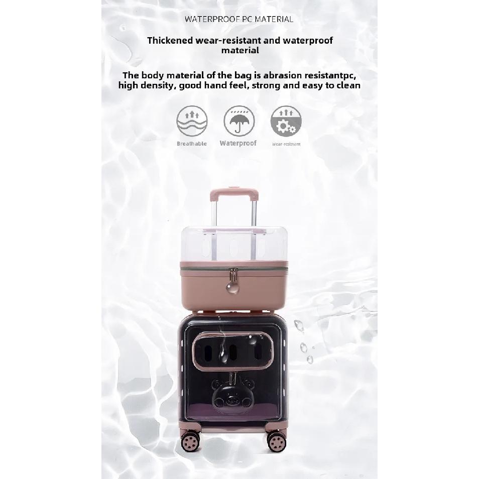 Portable Cat Bag 2 Layers Design for Outdoor Pet Trolley Case Transparent Panoramic Transport Cage Multifunctional Cat Handbag