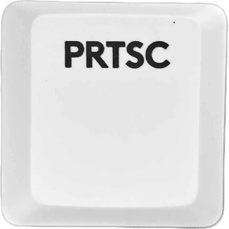 

logitech G913/G913TKL/G915 replacement keycaps [Sold as 1 piece] (Light-emitting compatible) [BERGBUCH] (PRTSC, White)