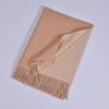 Autumn Winter New Imitation Cashmere Double-sided Monochrome Warm Scarf Unisex Fashionable Tassel