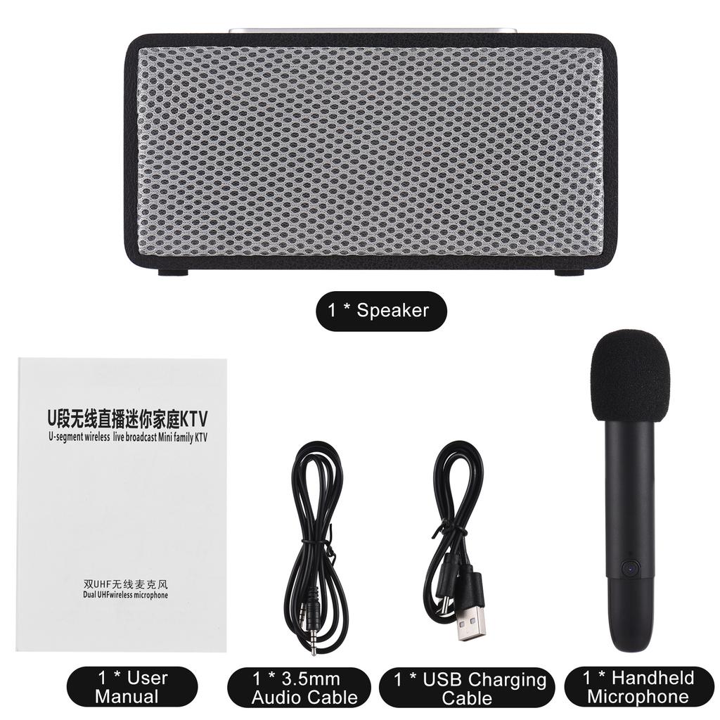 Portable Karaoke Machine for Adults 5W*2 High Power Wireless BT Speakers LED Lights Rechargeable Home Karaoke Support